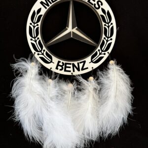 Truck lapač MERCEDES